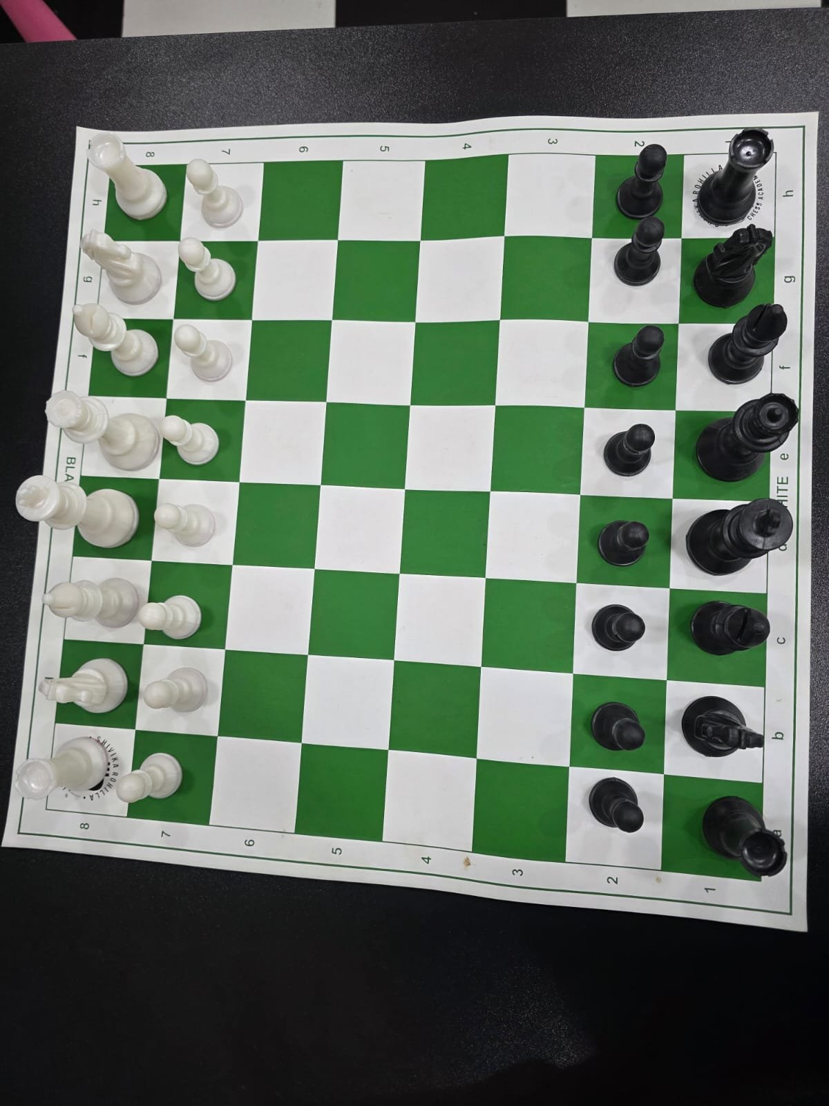 SRCA 17.5" inches foldable Chess Set - image 4